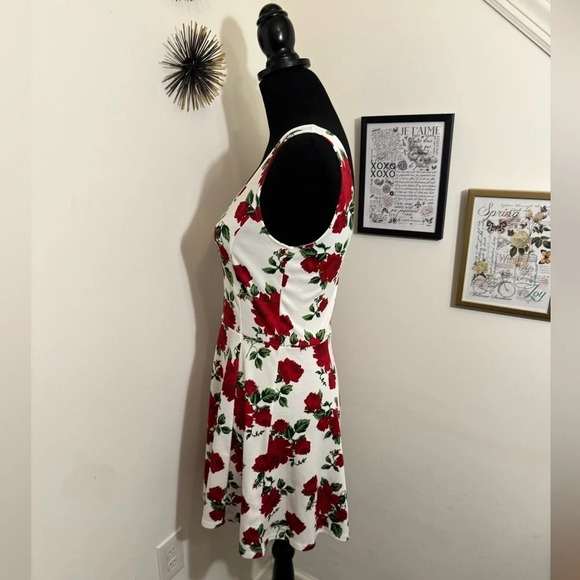 H & M ROSE DRESS SIZE 8 - Picture 2 of 16